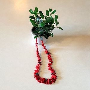 Turquoise and red necklace